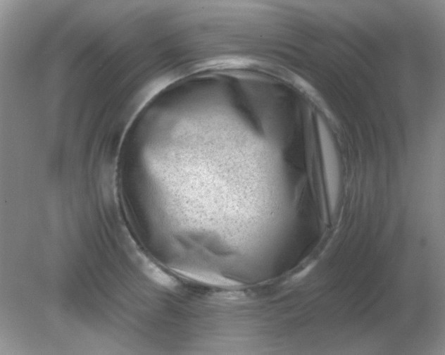 X0000081611186200701291419