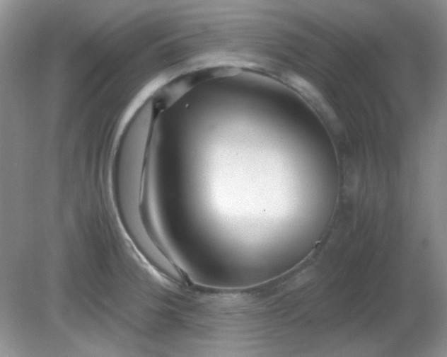 X0000081611188200701291419