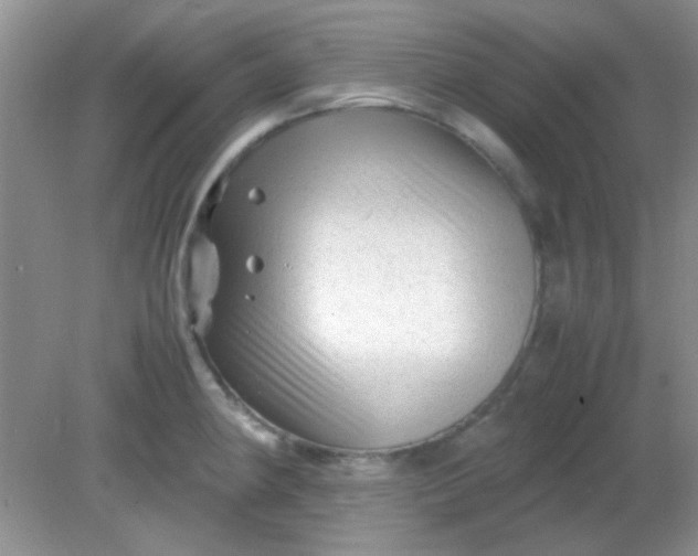 X0000081611190200701291419