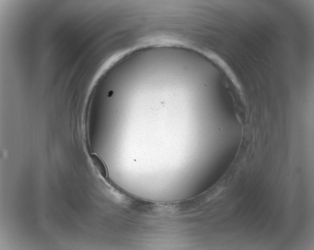 X0000081611191200701291419