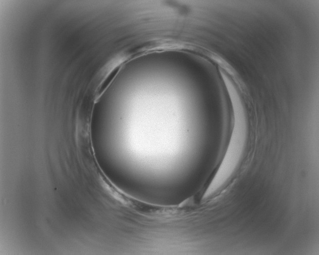 X0000081611193200701291419