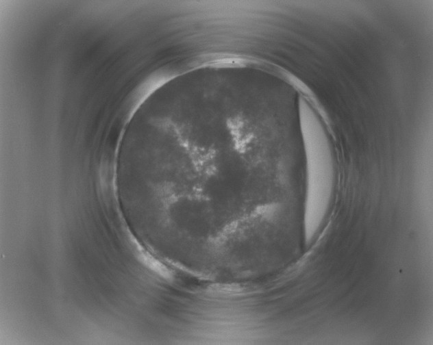 X0000081611194200701291419