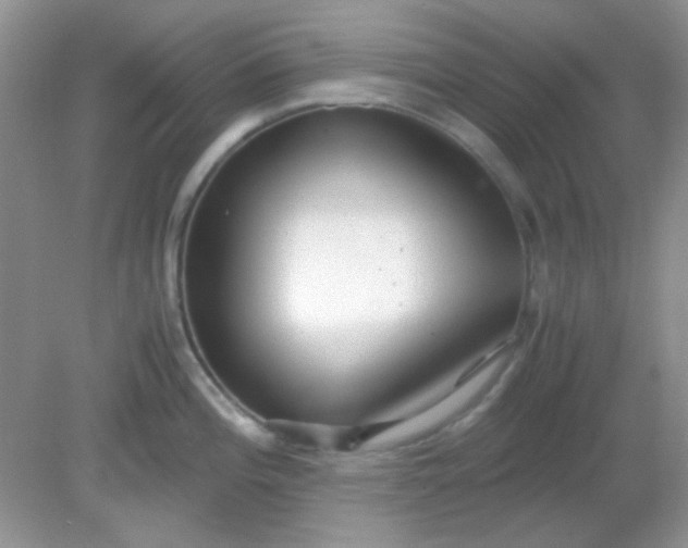 X0000081611196200701291419