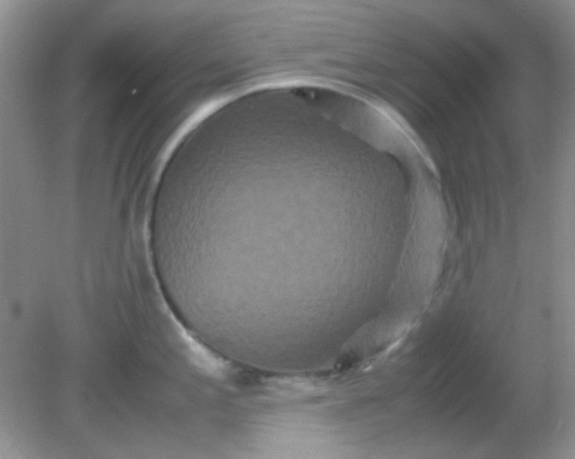 X0000081611197200701291419