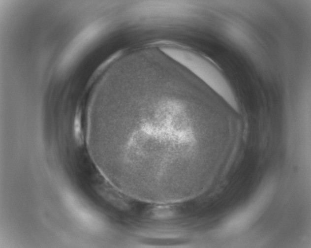 X0000081611198200701291419