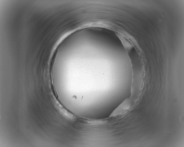 X0000081611200200701291419