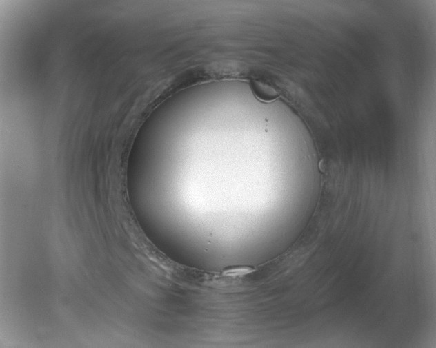 X0000081611201200701291418