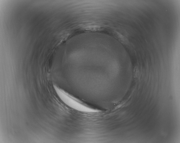 X0000081611202200701291418