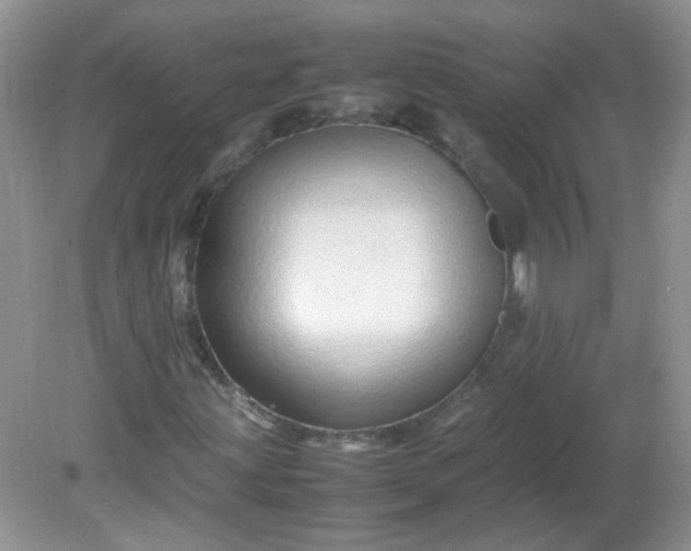 X0000081611203200701291418