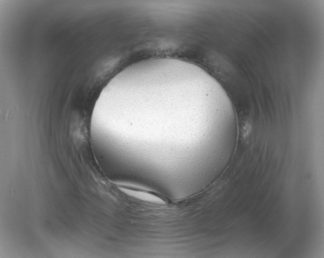 X0000081611204200701291418