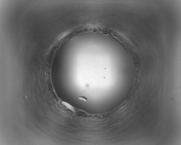 X0000081611207200701291418