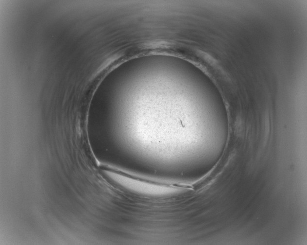 X0000081611209200701291418