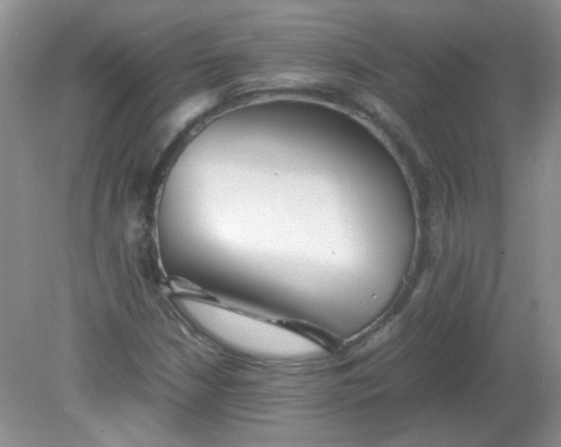 X0000081611210200701291418