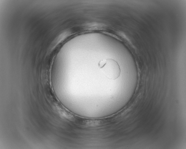 X0000081611211200701291418