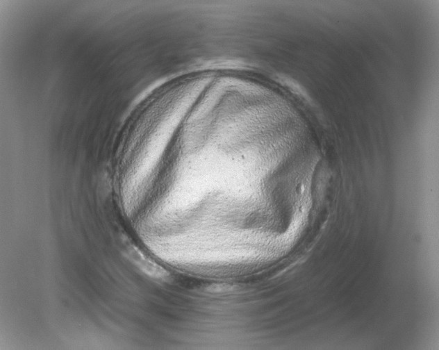 X0000081611212200701291418