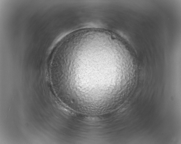 X0000081611215200701291418