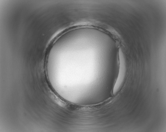 X0000081611216200701291418