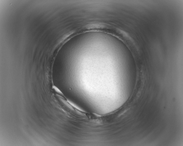 X0000081611217200701291418