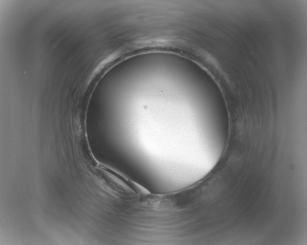 X0000081611218200701291418