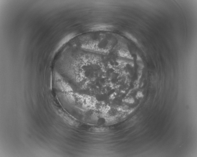 X0000081611219200701291418