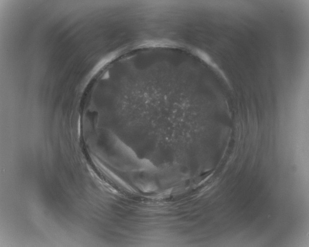 X0000081611221200701291418