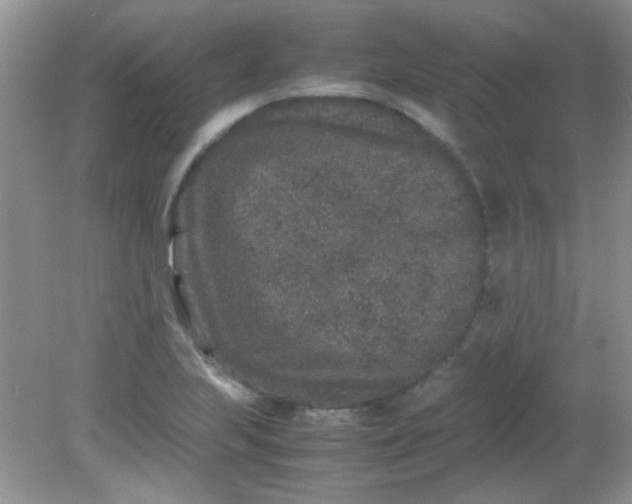 X0000081611223200701291418