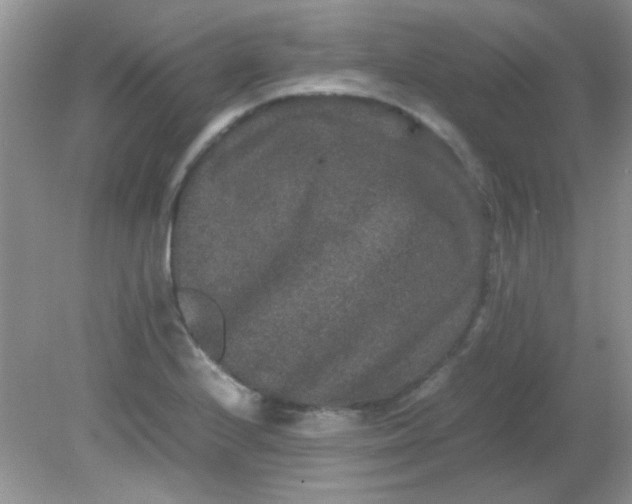 X0000081611224200701291418