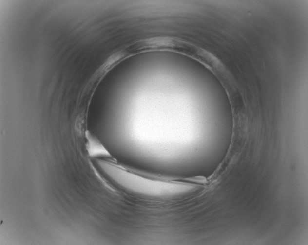 X0000081611225200701291418