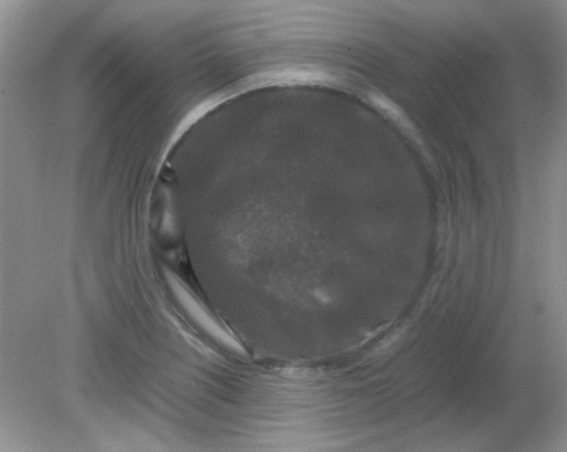 X0000081611226200701291418