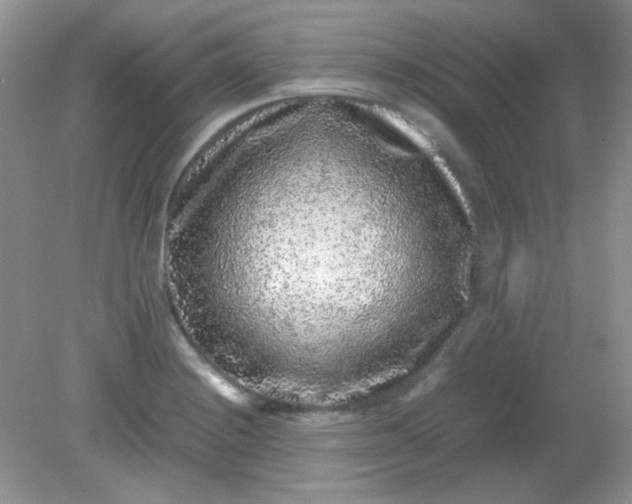 X0000081611228200701291418