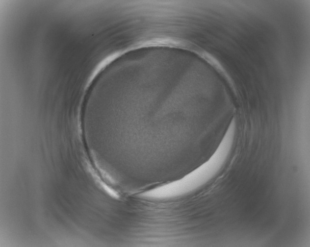 X0000081611230200701291419