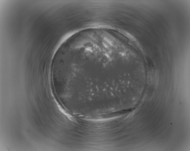 X0000081611231200701291419