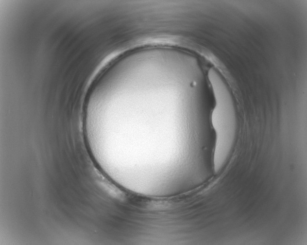 X0000081611232200701291419