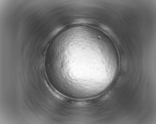 X0000081611233200701291419