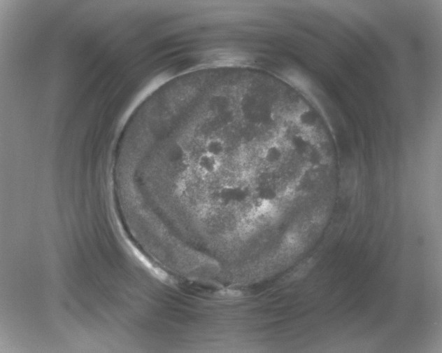 X0000081611235200701291419