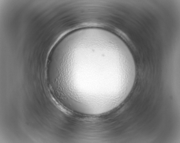 X0000081611236200701291419