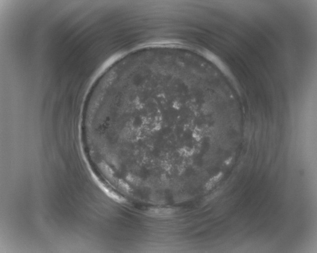 X0000081611237200701291419