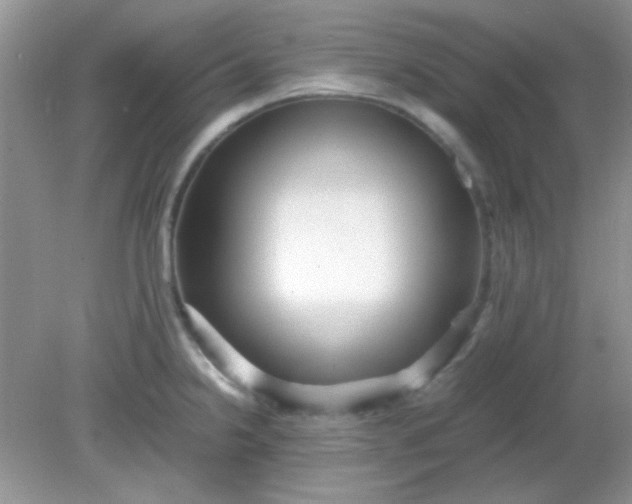 X0000081611238200701291419