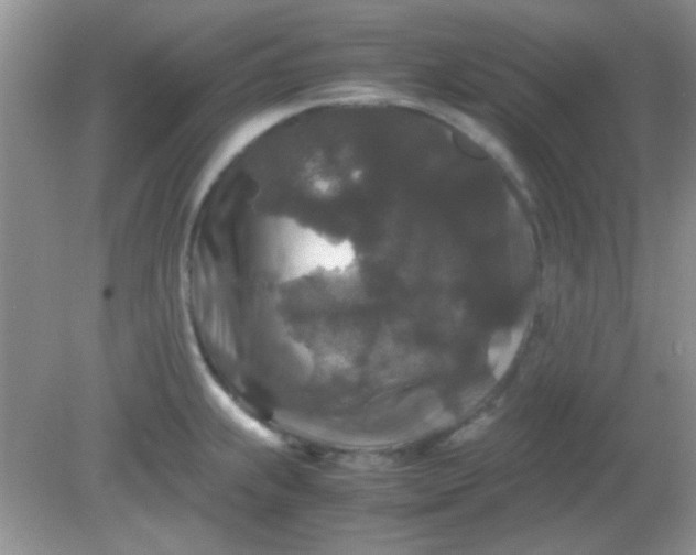 X0000081611239200701291419