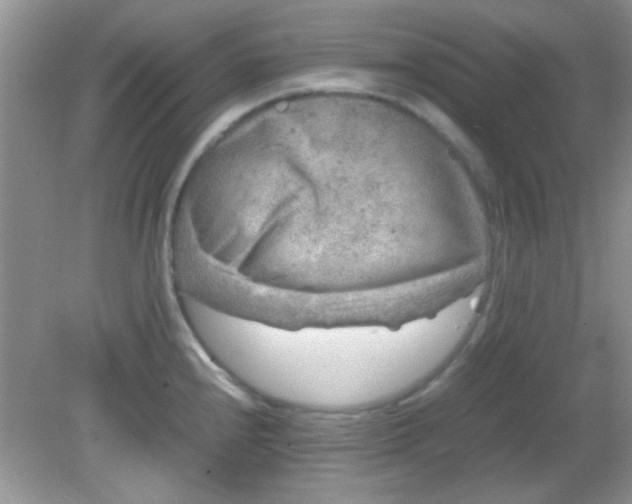 X0000081611240200701291419