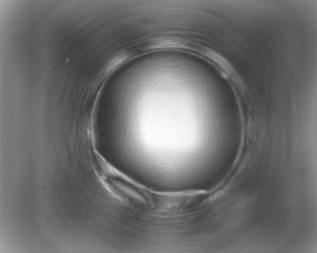 X0000081611241200701291419