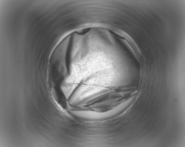 X0000081611244200701291419