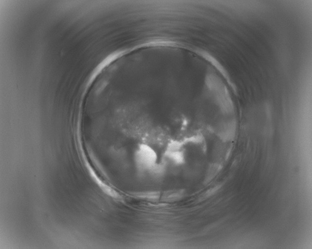 X0000081611245200701291419