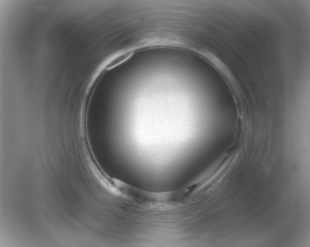 X0000081611246200701291419