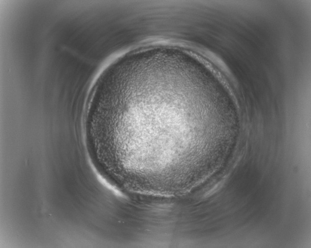 X0000081611247200701291419