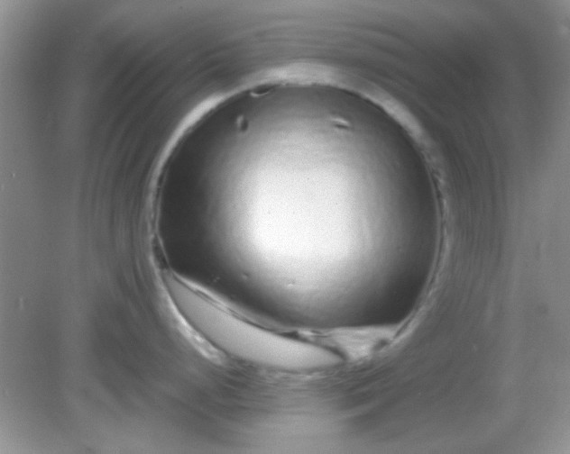 X0000081611248200701291419