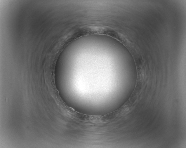 X0000081611249200701291418