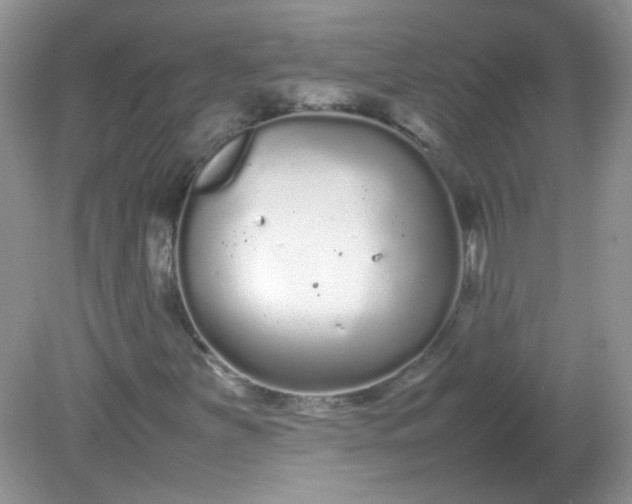 X0000081611251200701291418