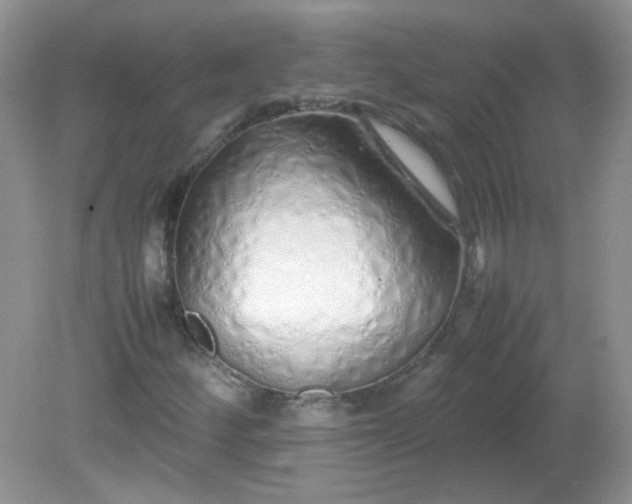 X0000081611252200701291418