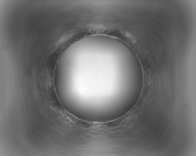 X0000081611253200701291418